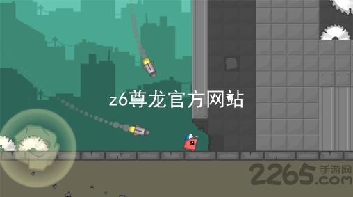 z6尊龙官方网站