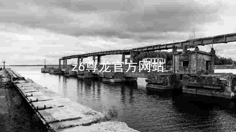 z6尊龙官方网站